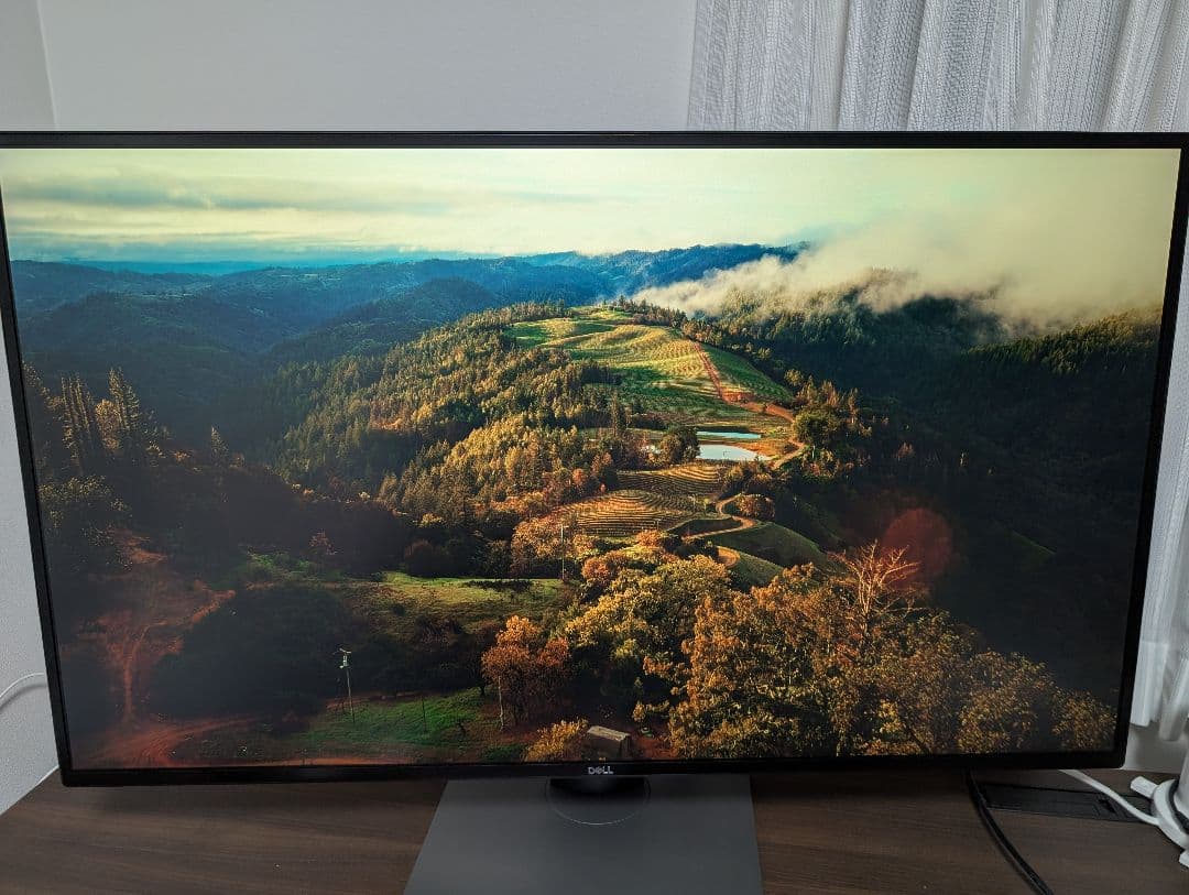 DELL U4320Q 43インチ 4Kモニター 本体