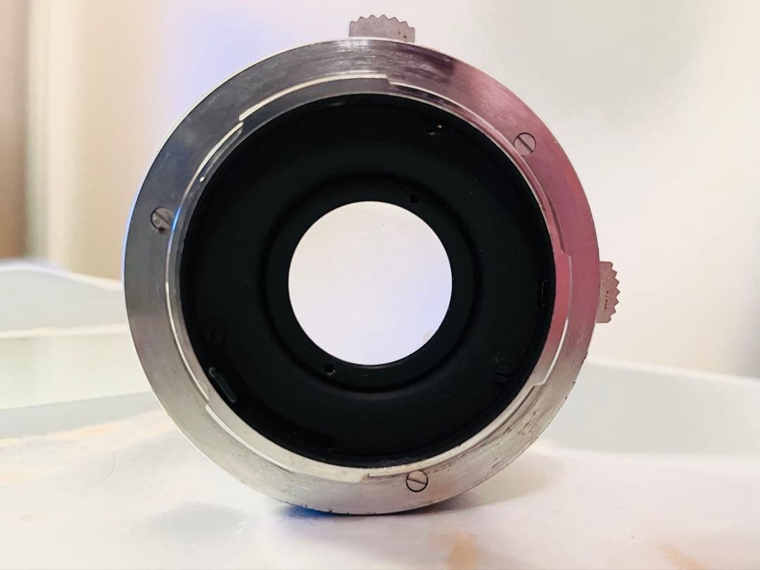 クモちゃん‼️