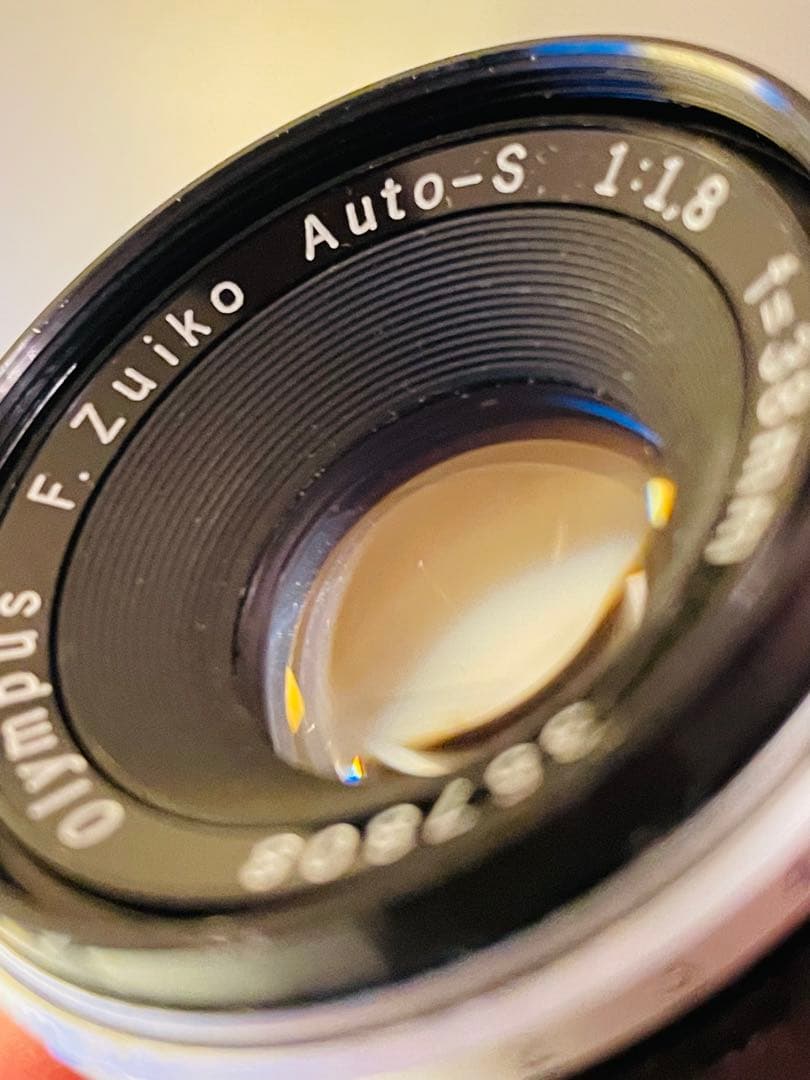 クモちゃん‼️