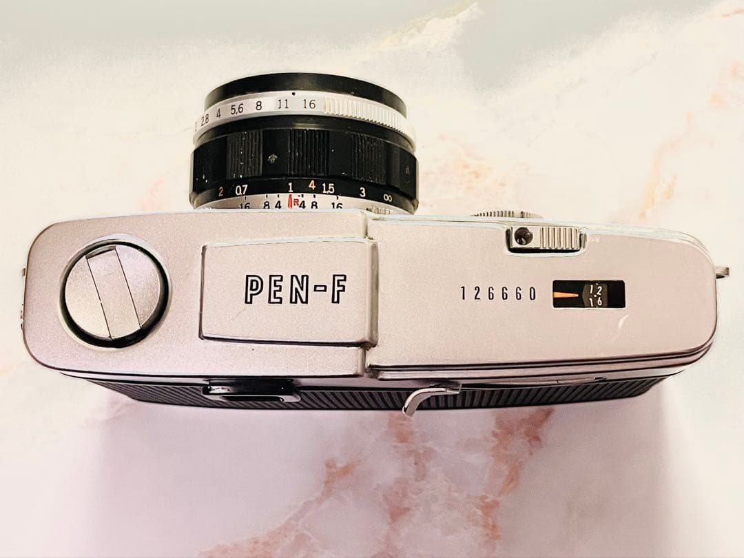 クモちゃん‼️