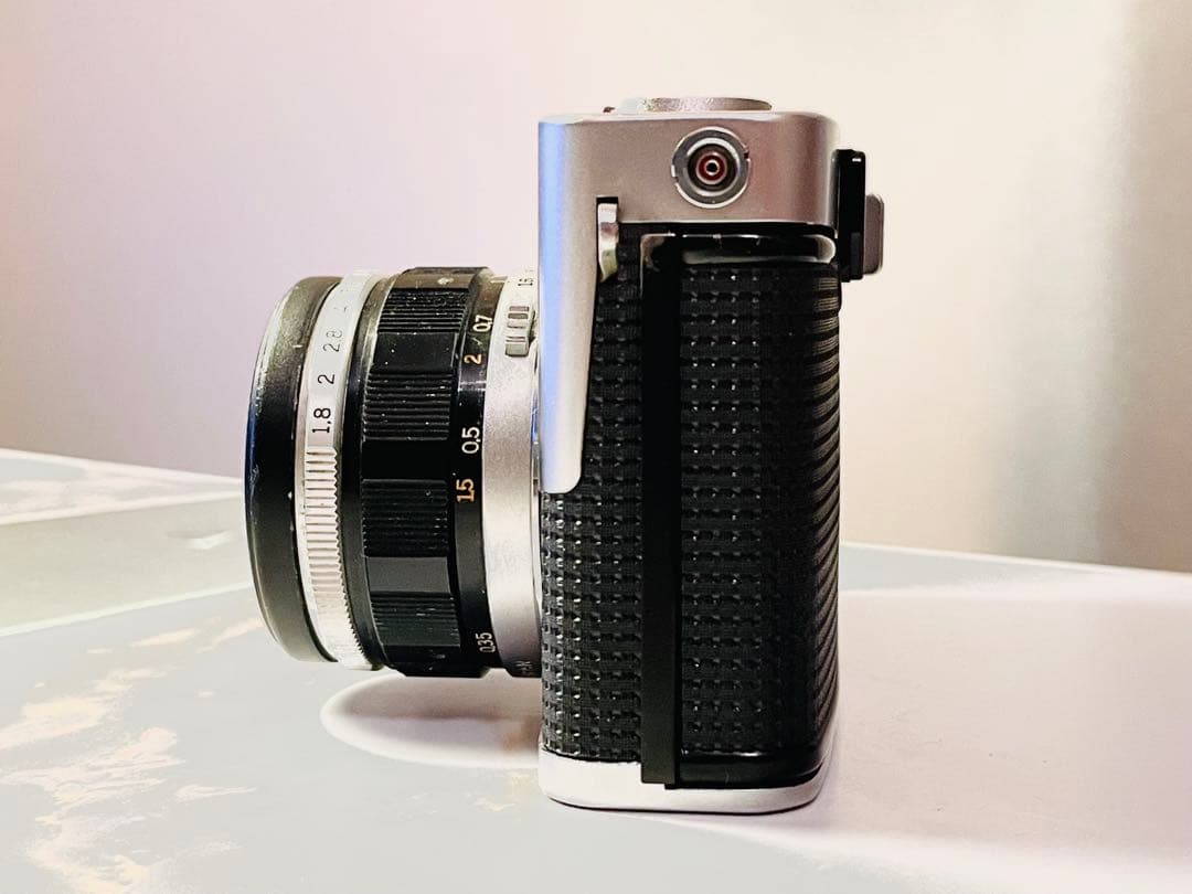 クモちゃん‼️