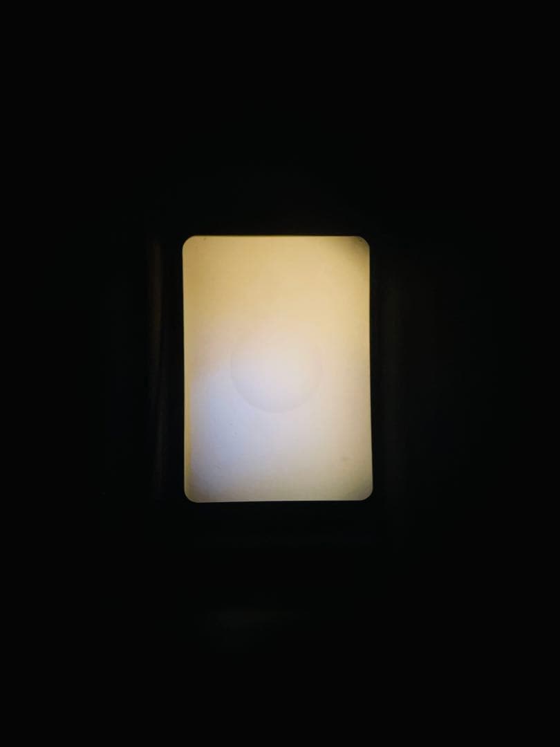 クモちゃん‼️