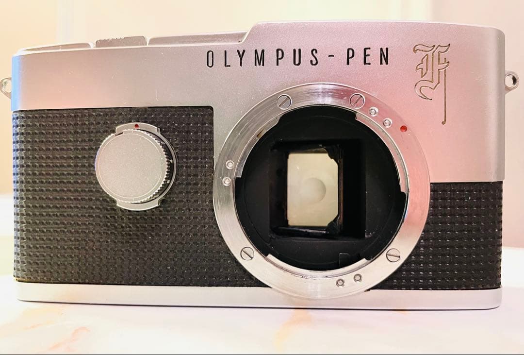 クモちゃん‼️