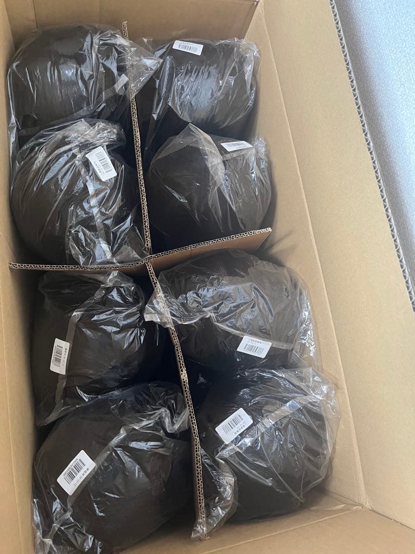 美容師国家試験用 カットウィッグ 未使用 16個