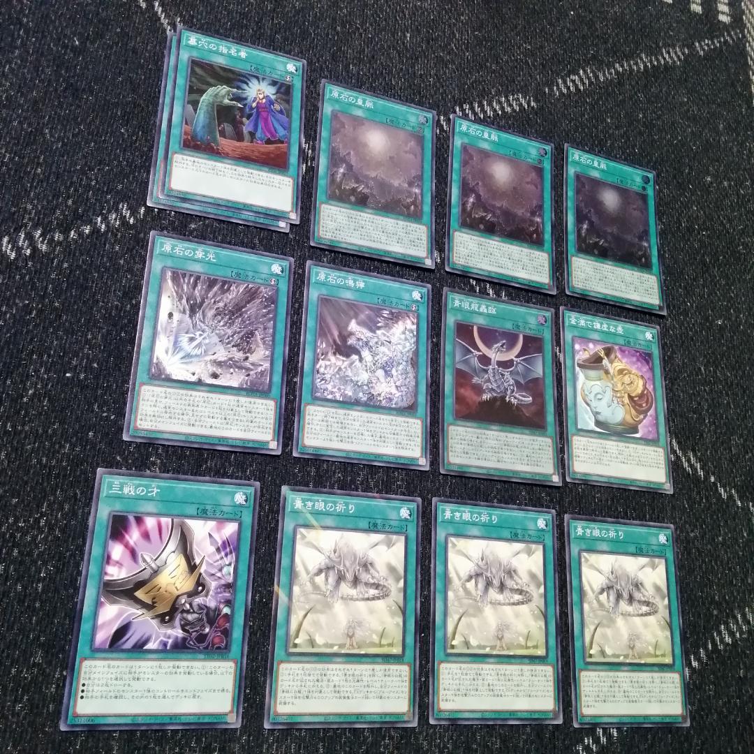 遊戯王　原石　青眼　デッキ　原石の皇脈　赤き竜　聖王の粉砕　[04154]