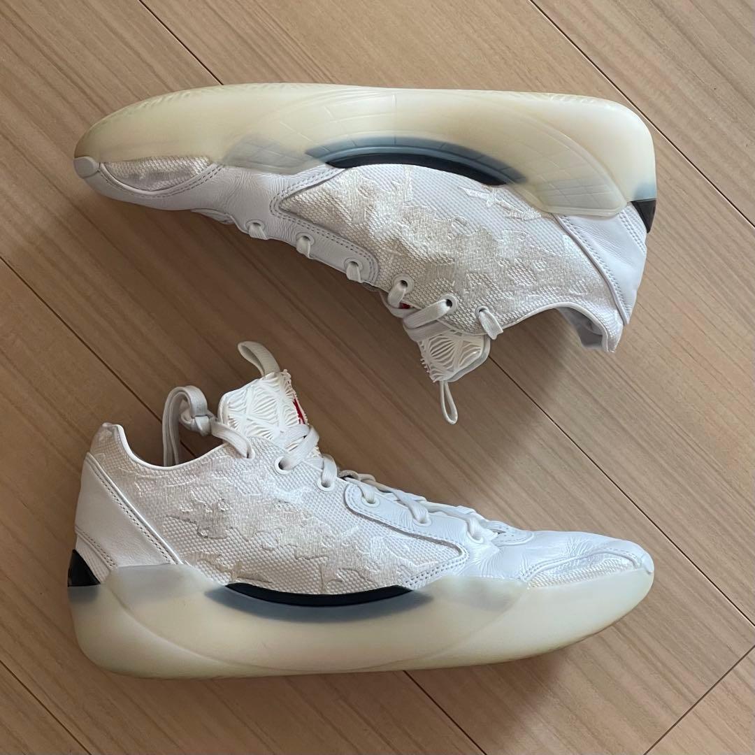 NIKE エアジョーダン39 AIR JOUDAN 39 28.0cm