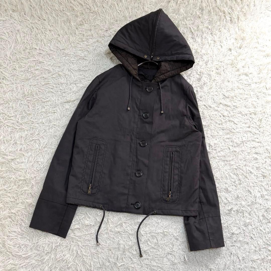 17304✨ルイヴィトン Y2K モノグラム 短丈 ライナー マウンテンパーカー