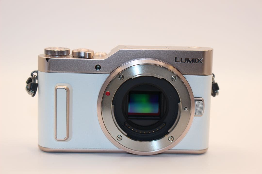 ★ショット数1762回★ LUMIX DC-GF10 望遠レンズセット　中望遠