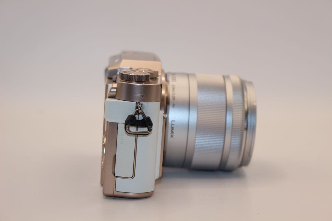 ★ショット数1762回★ LUMIX DC-GF10 望遠レンズセット　中望遠