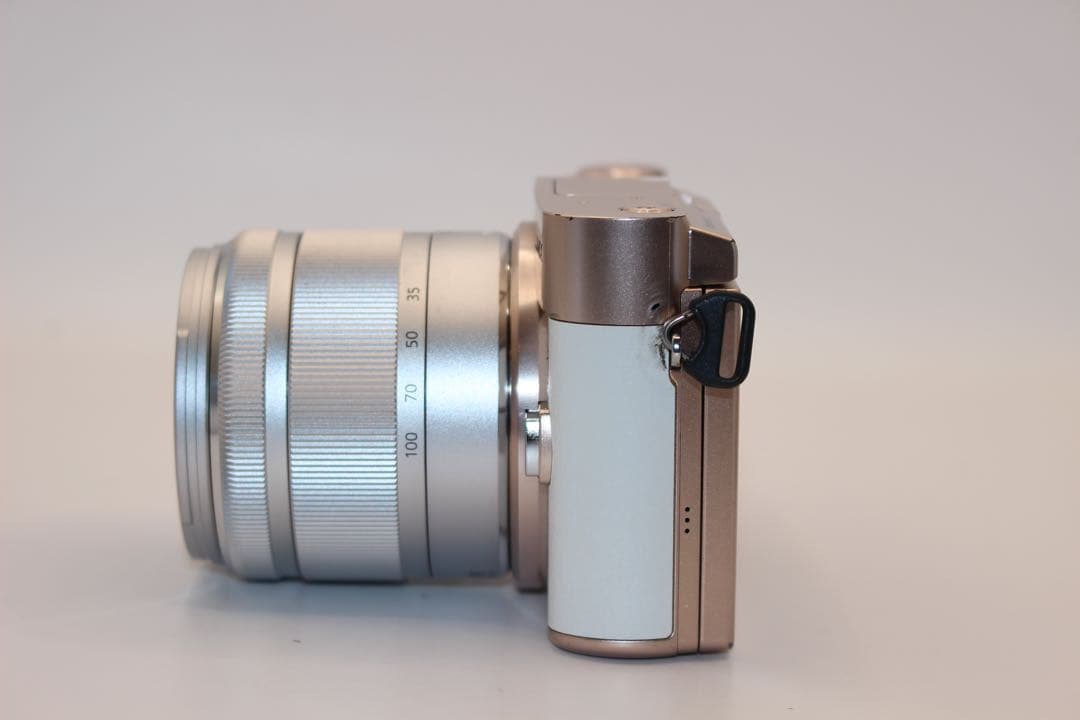 ★ショット数1762回★ LUMIX DC-GF10 望遠レンズセット　中望遠