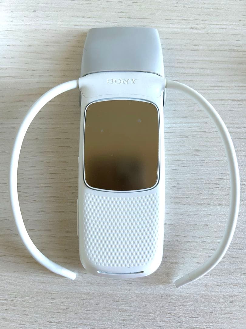 SONY REON POCKET 5 冷却機能付き