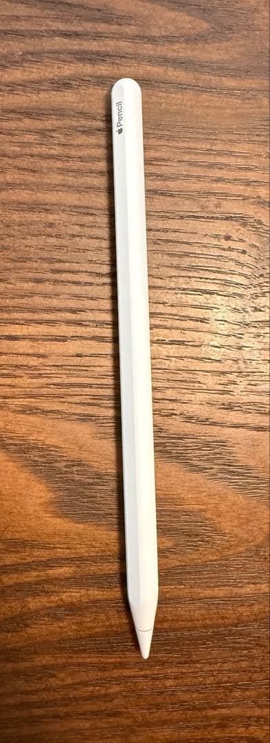 iPad Pro 11 第1世代256GB Wi-Fi Apple Pencil