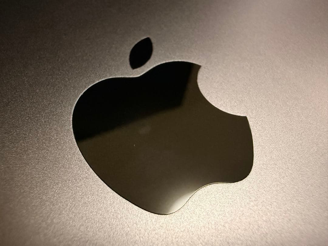 iPad Pro 11 第1世代256GB Wi-Fi Apple Pencil