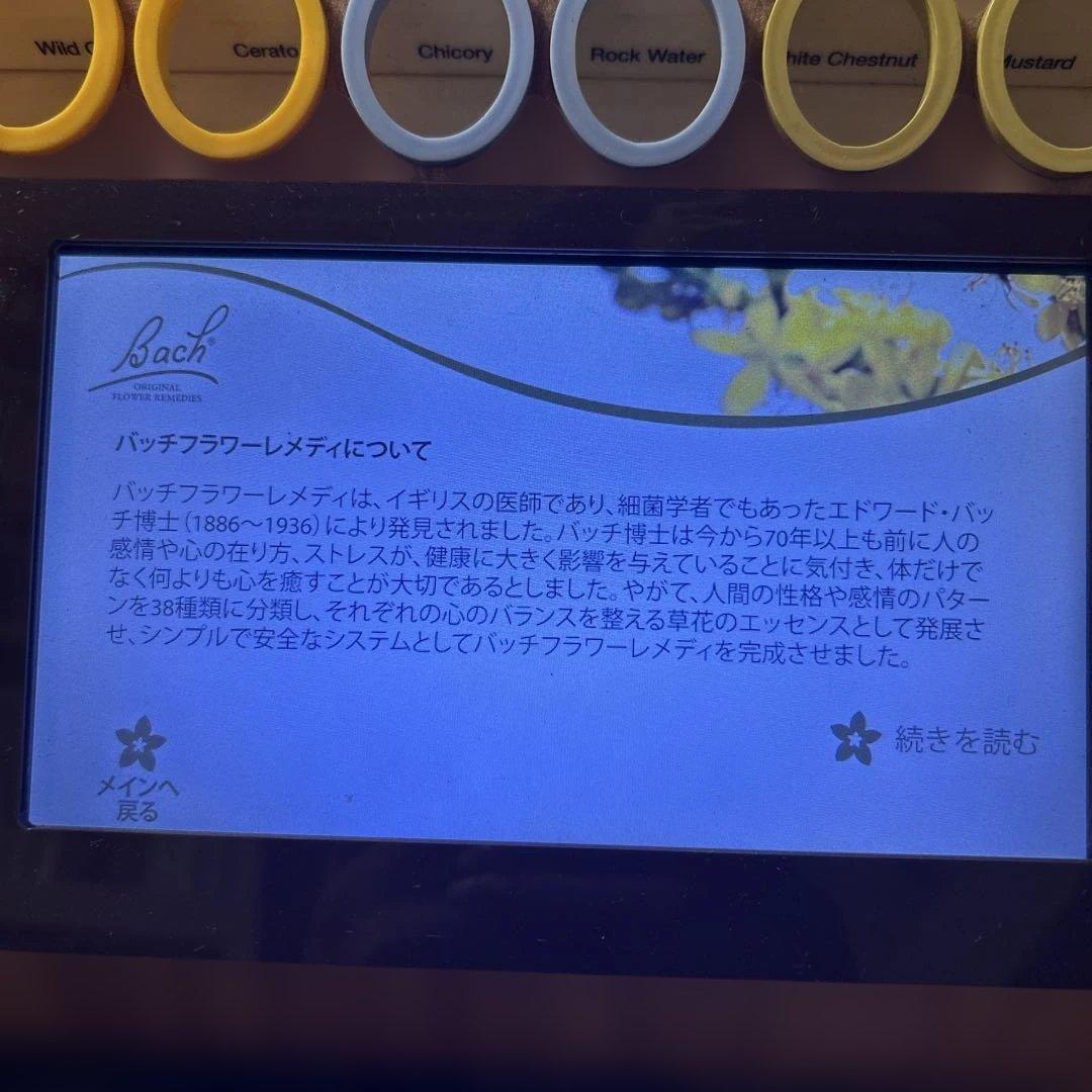 バッチフラワーレメディ　ディスプレイ