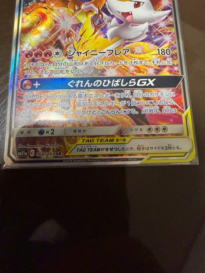 【期間限定値下げ】リザードン＆テールナーGX SR SA SM11a