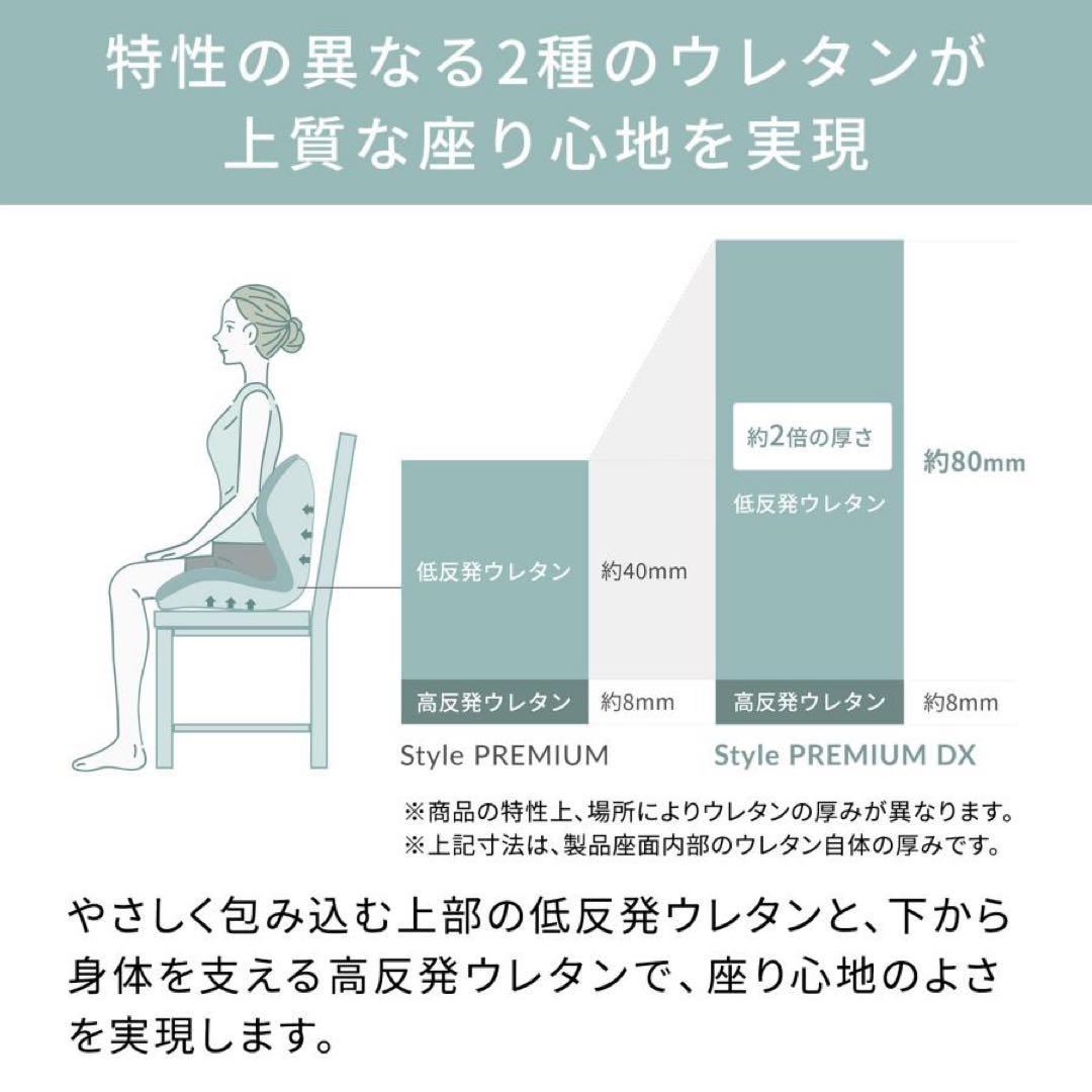 スタイルプレミアム デラックス ブラック Style PREMIUM DX