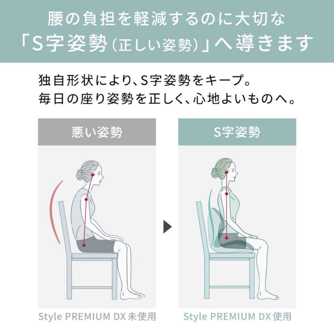 スタイルプレミアム デラックス ブラック Style PREMIUM DX