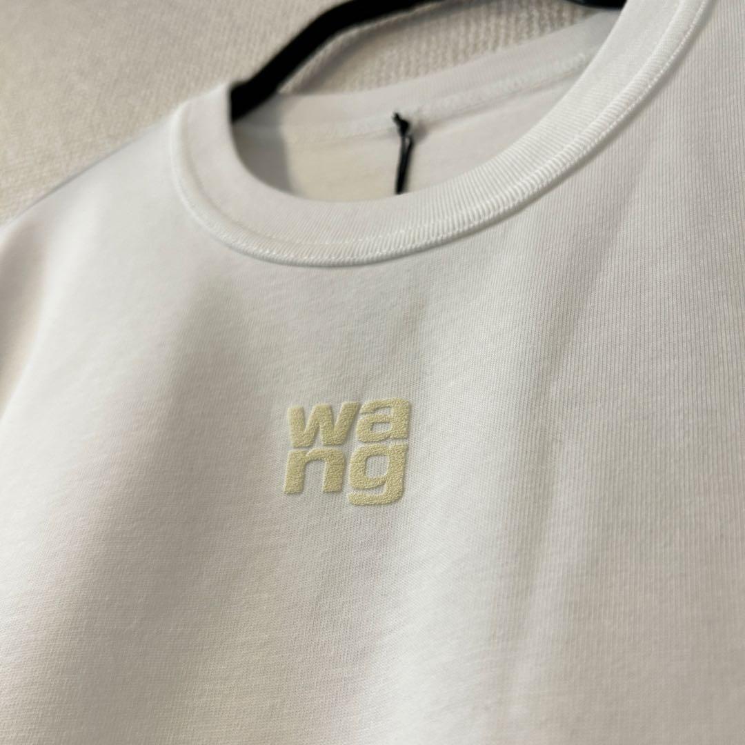 ■alexander wang.t パフロゴ コットン tシャツ Mサイズ■