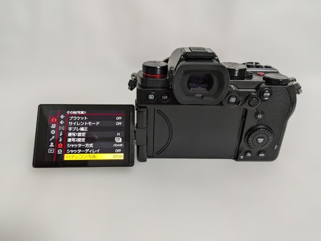 Panasonic LUMIX S5 ミラーレス一眼 本体と付属品