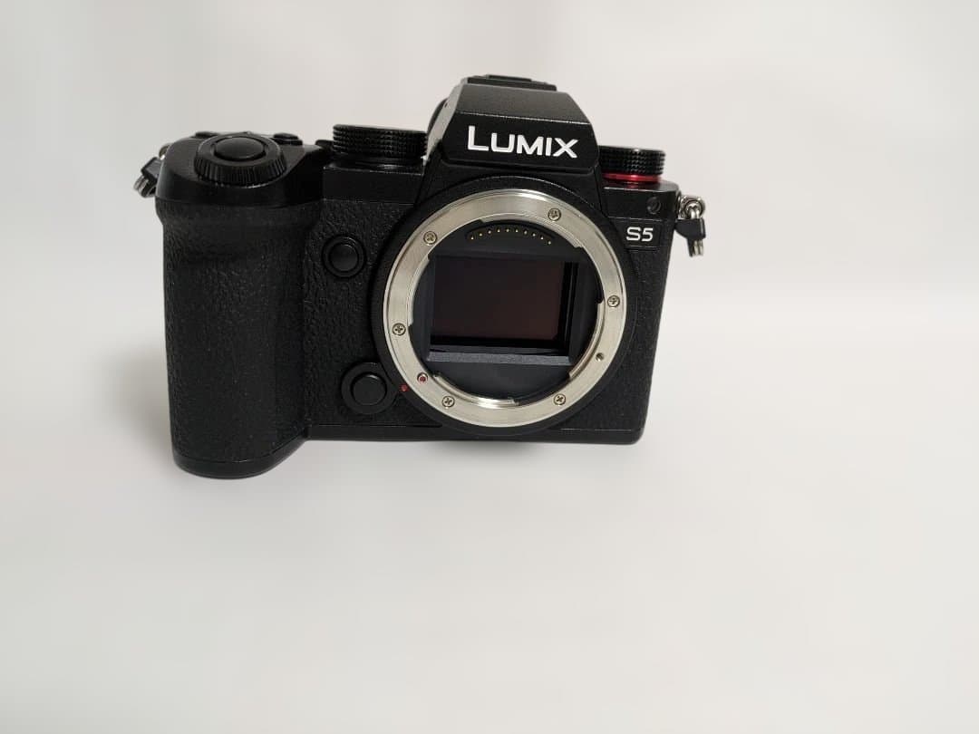 Panasonic LUMIX S5 ミラーレス一眼 本体と付属品