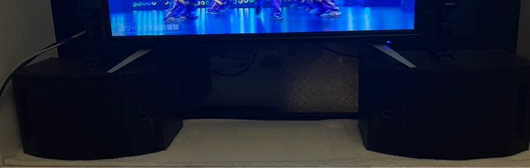 BOSE スピーカー・セット