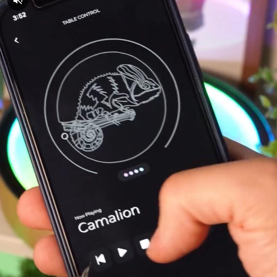 【入手困難・新品】Oasis mini | 癒しのキネティックサンドアート