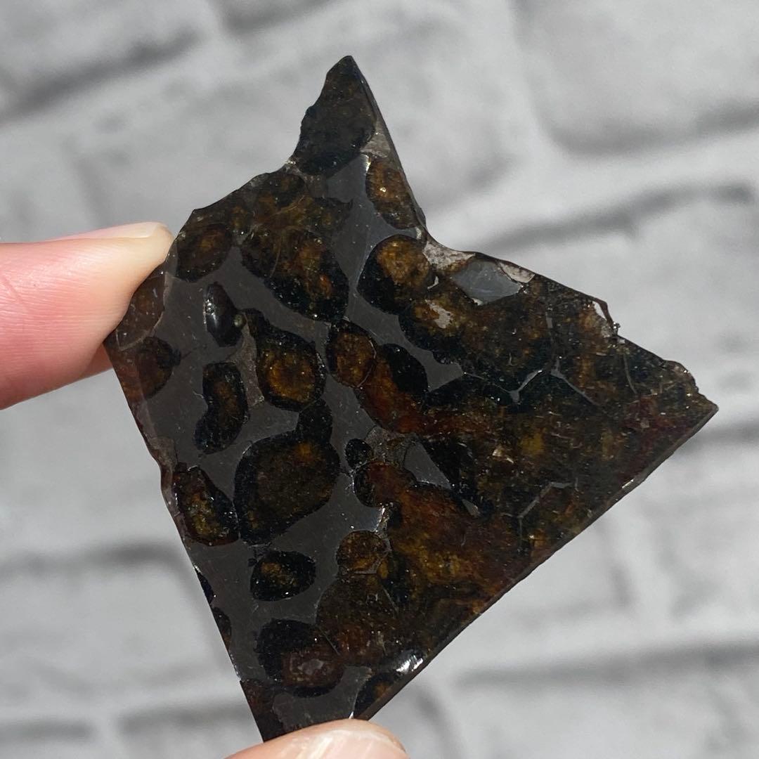 k*い様 希少 パラサイト隕石 プレート 天然石