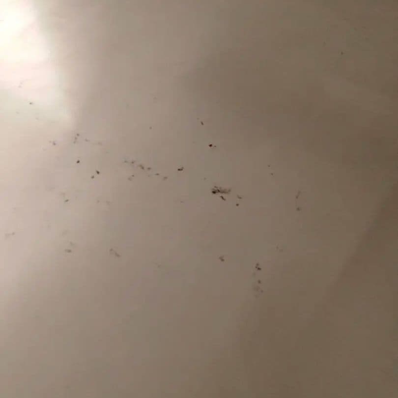 キッチン収納 レンジ台 unico ウニコSTRADA(ストラーダ)レンジボード