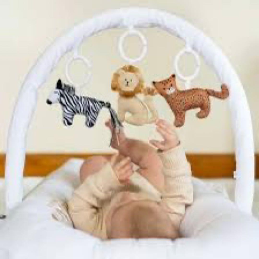 DockATot ドッカトット ToyBundleデイアットザズー