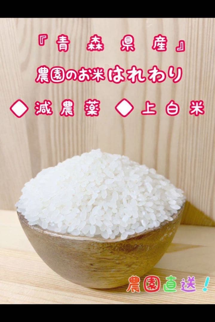 青森県産はれわたり白米20キロ