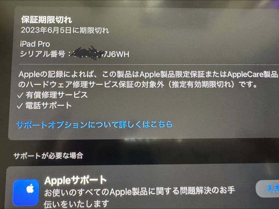 専用　12.9インチiPad Pro（第5世代） Wi-Fi 128GB