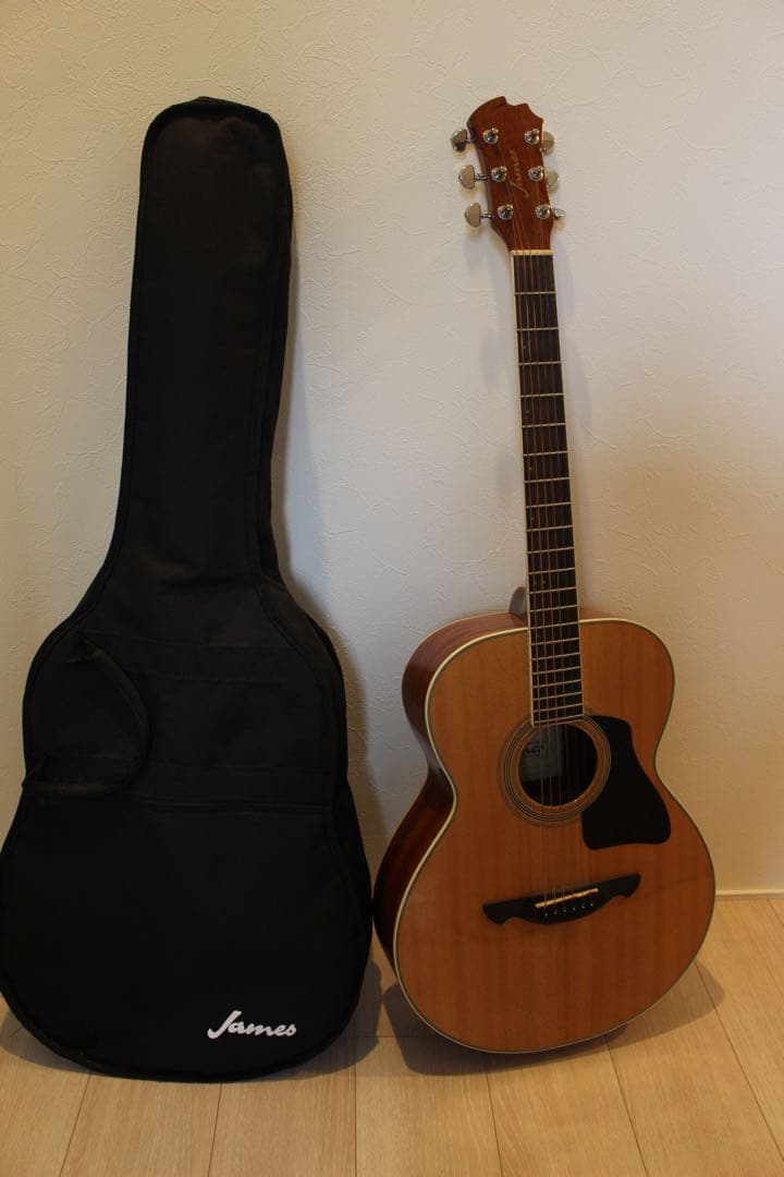 【美品】James アコースティックギター 6弦