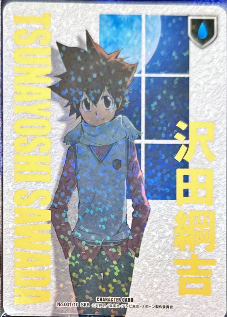 沢田綱吉 B10 SKR 死ぬ気レア ツナ