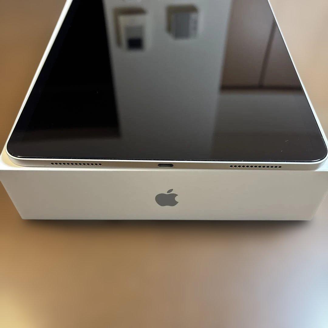 iPad Pro 11インチ 第1世代 256ギガ Wi-Fiモデル シルバー