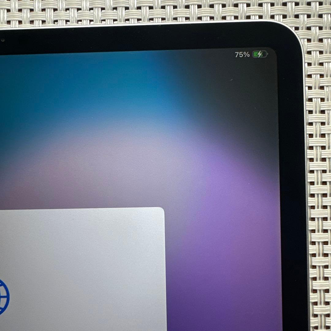 iPad pro第3世代 256GB 12.9インチ