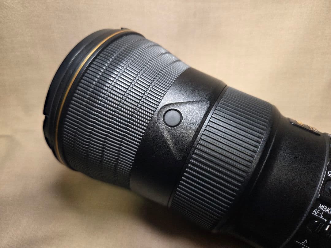 ニコン AF-S NIKKOR 500mm f/5.6E PF ED VR