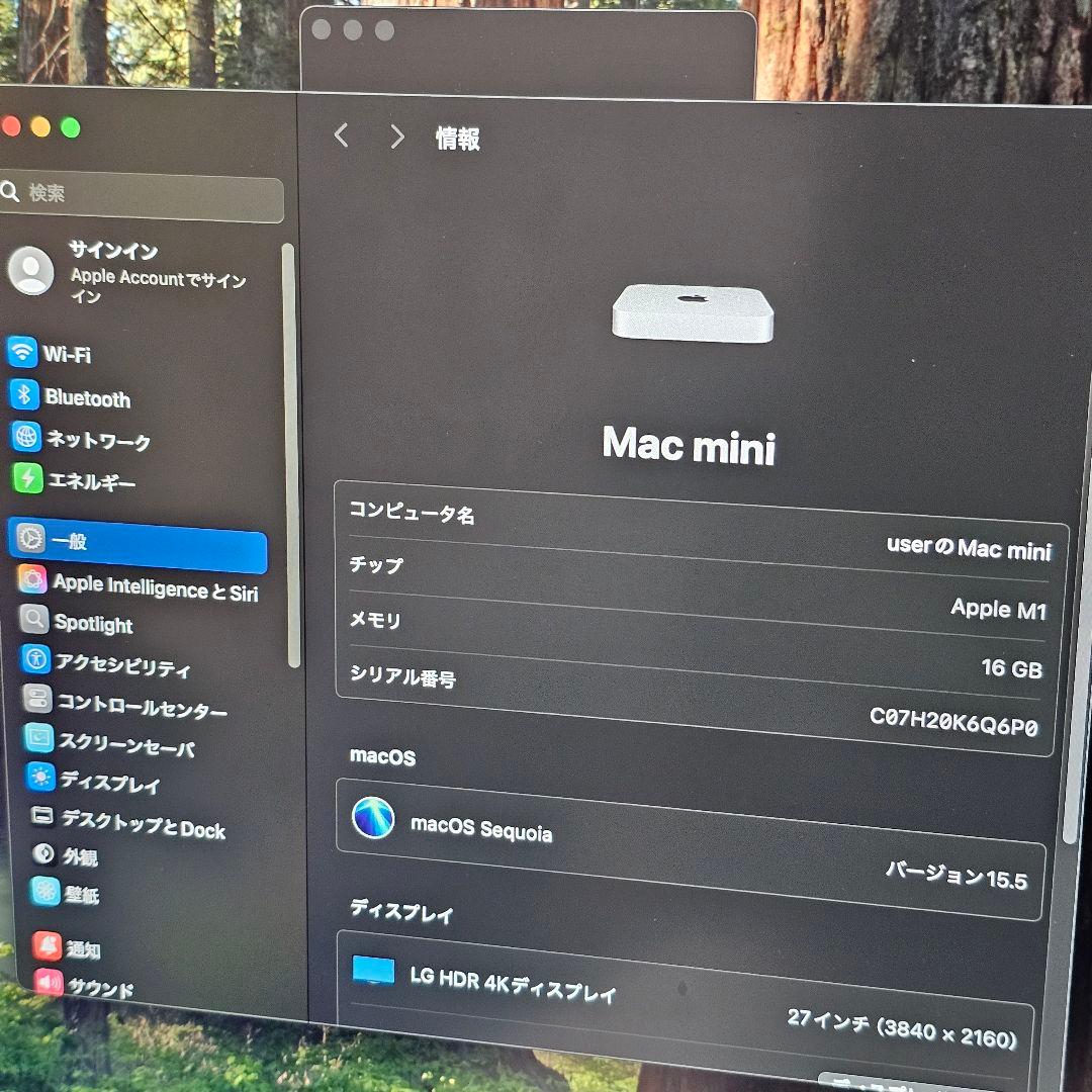 【美品 】Mac mini 2020 M1 16GB 512GB