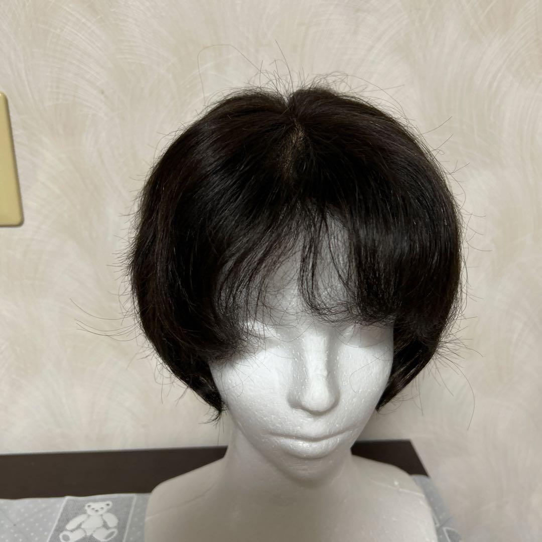 アートネーチャーフルウイング