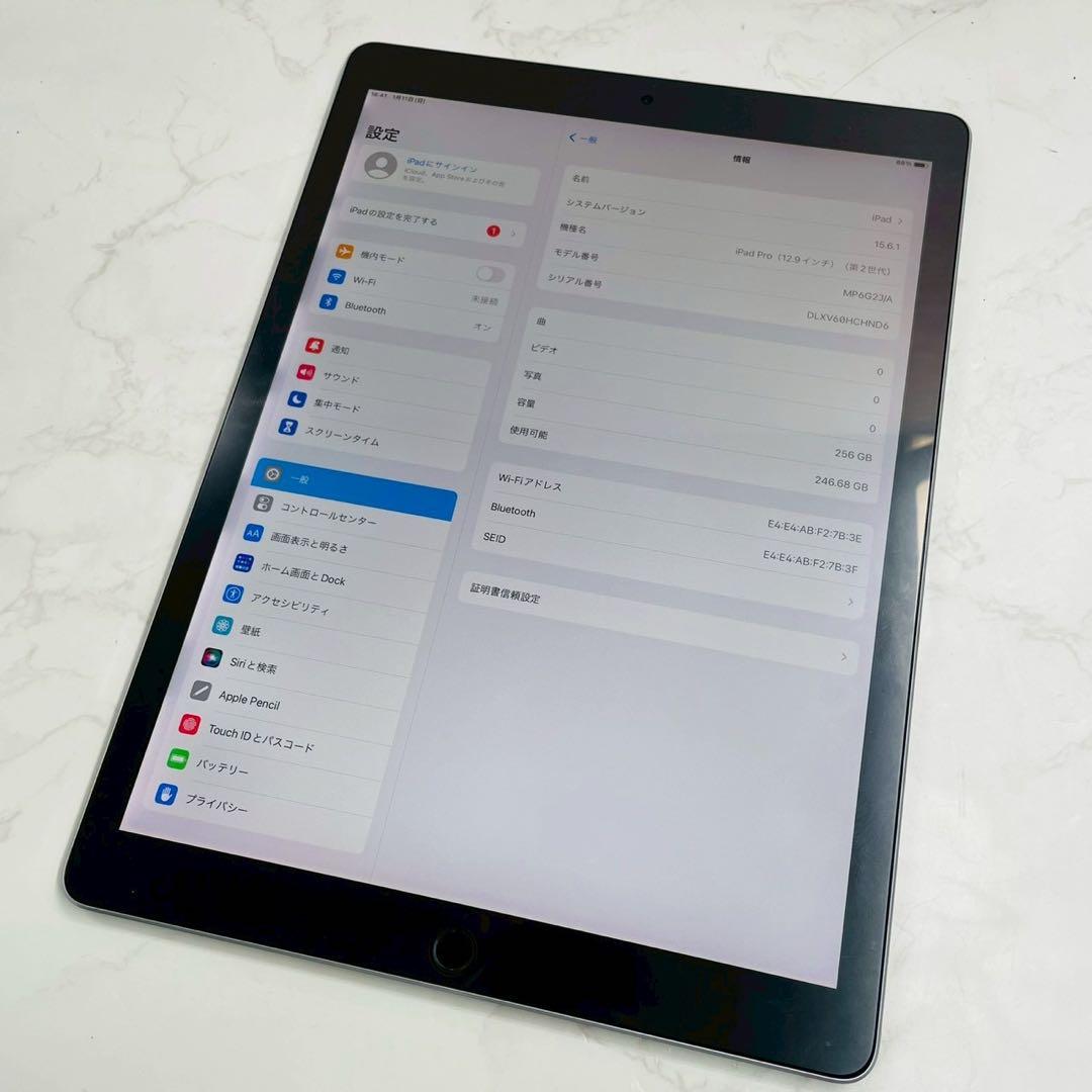 iPad Pro 12.9インチ 第2世代 256GB MP6G2J/A