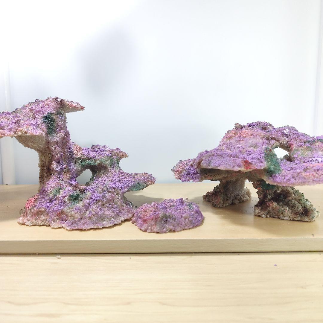 新品アク抜き不要 分離型人工ライブロック 60cm海水水槽用 レプリカ 多孔質5