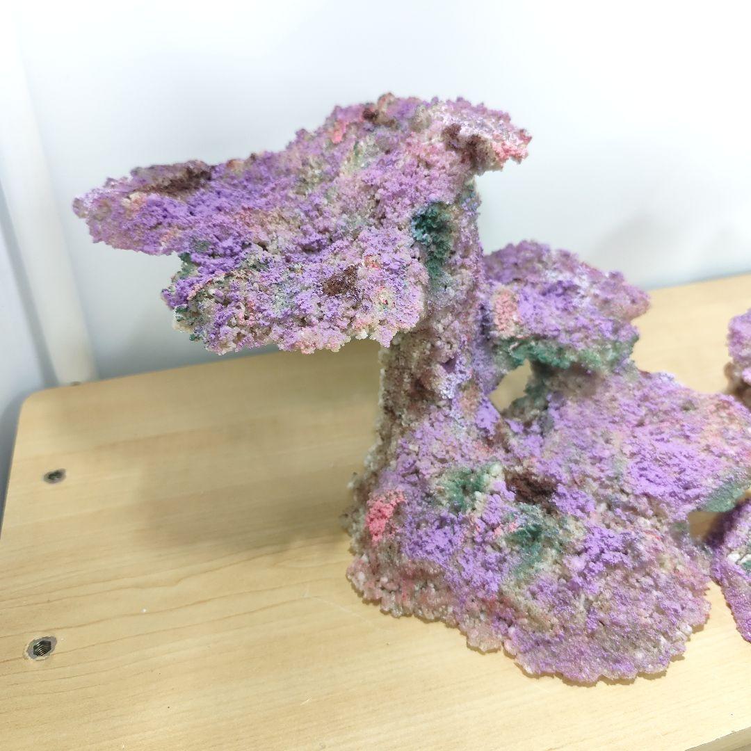 新品アク抜き不要 分離型人工ライブロック 60cm海水水槽用 レプリカ 多孔質5