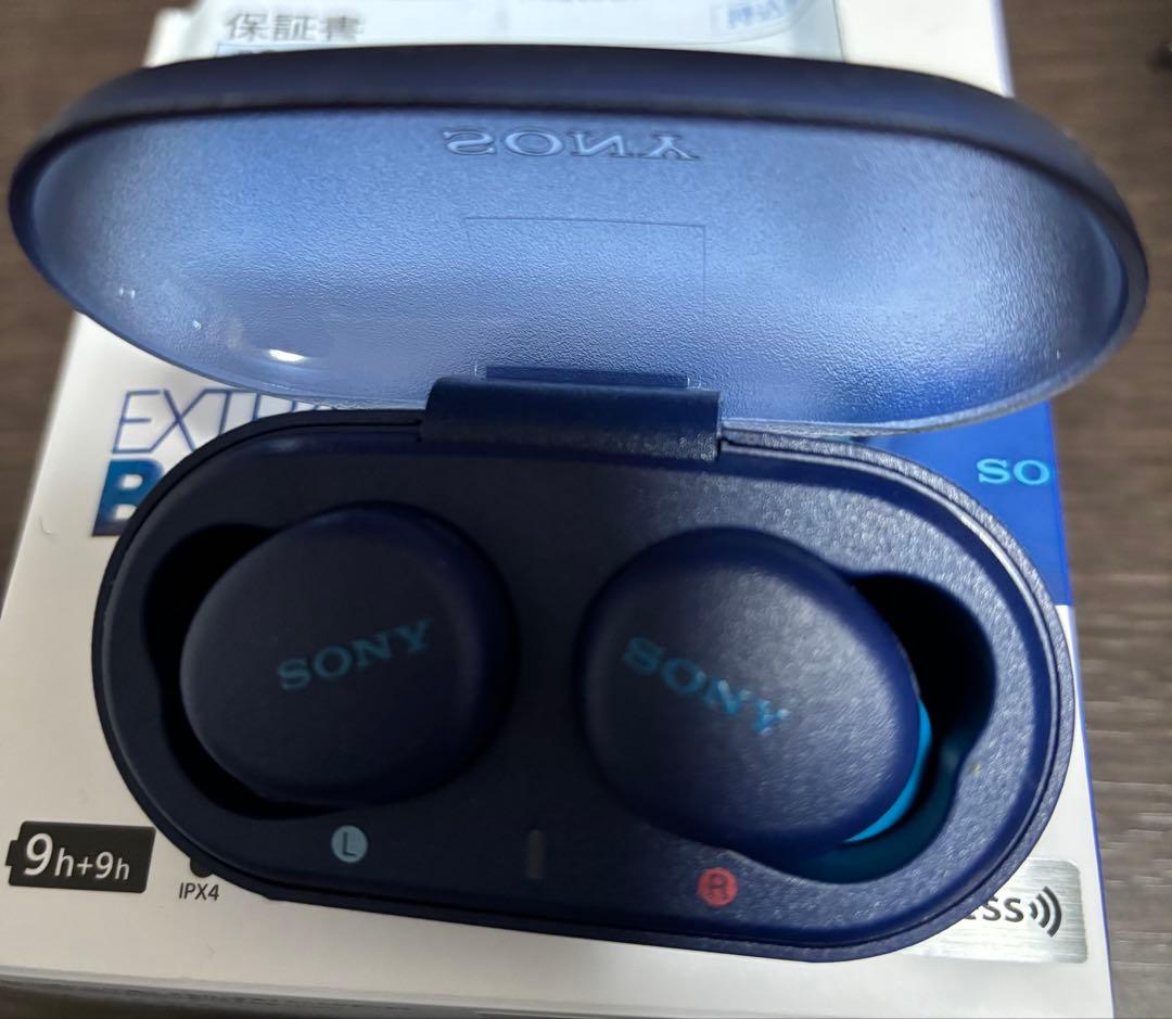 SONY イヤホン
