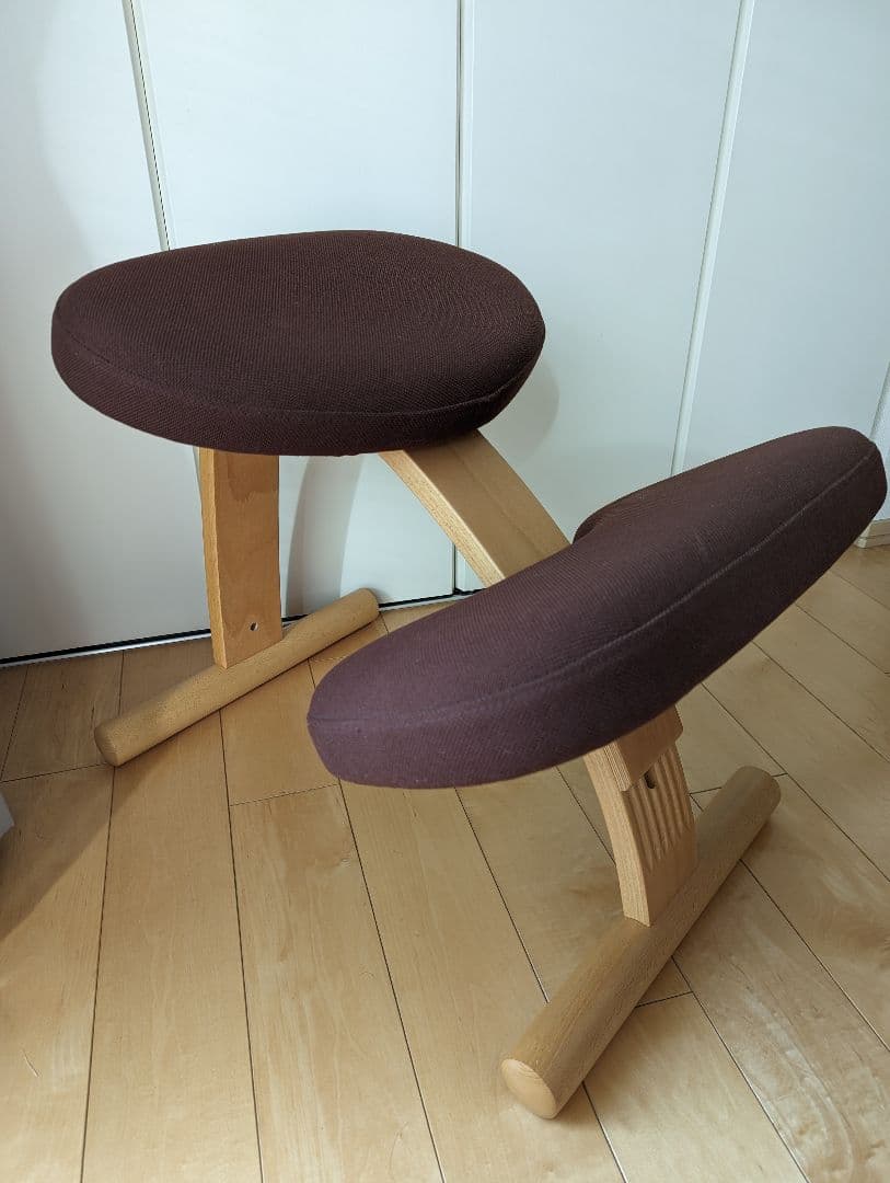 サカモトハウス　バランスイージーチェア　専用カバー付