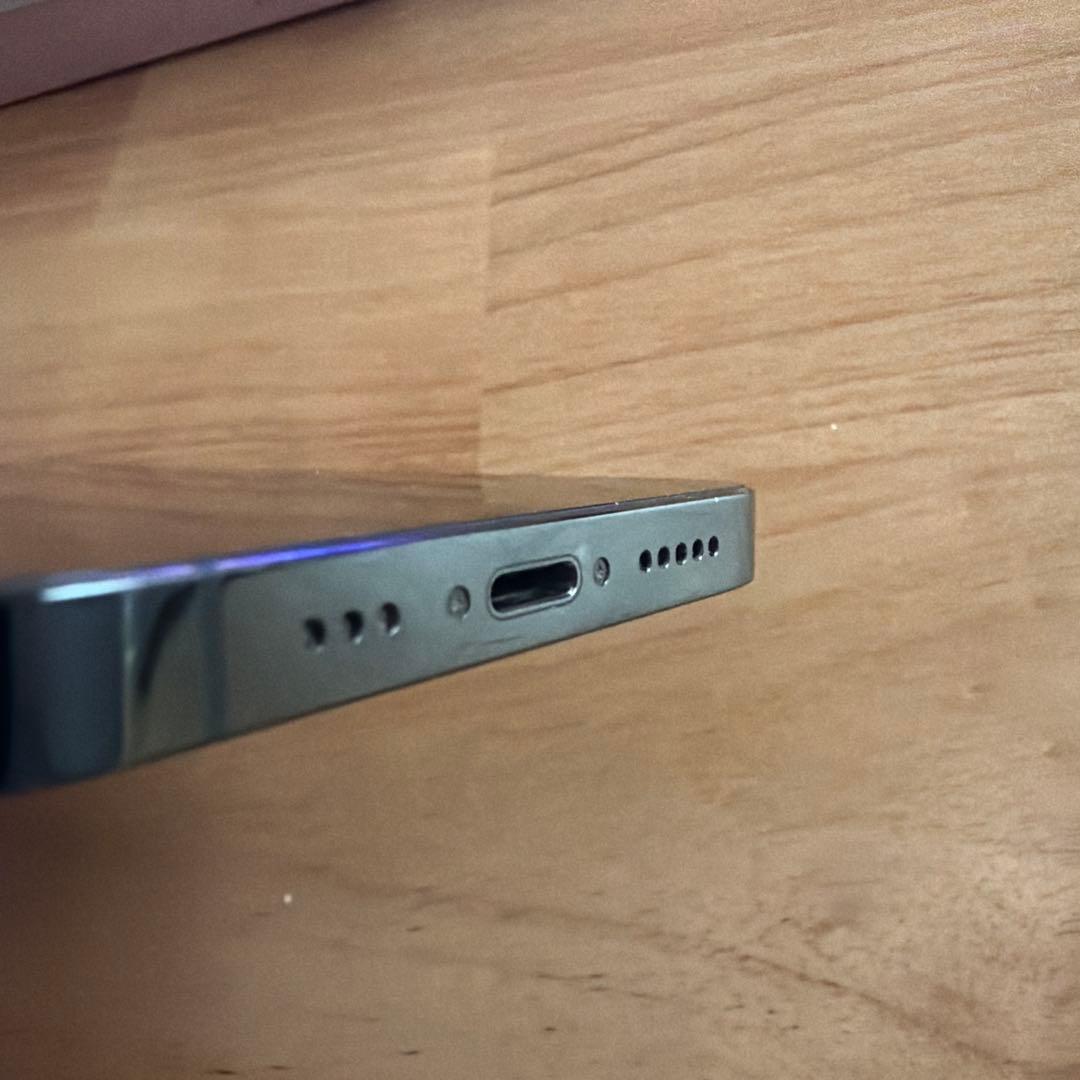 Apple iPhone 13 Pro SIMフリー　アルパイングリーン