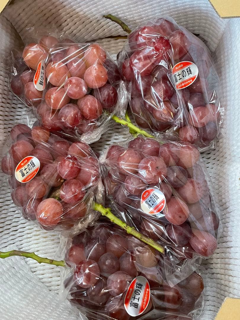 13【岡山県産】富士の輝　約5キロ