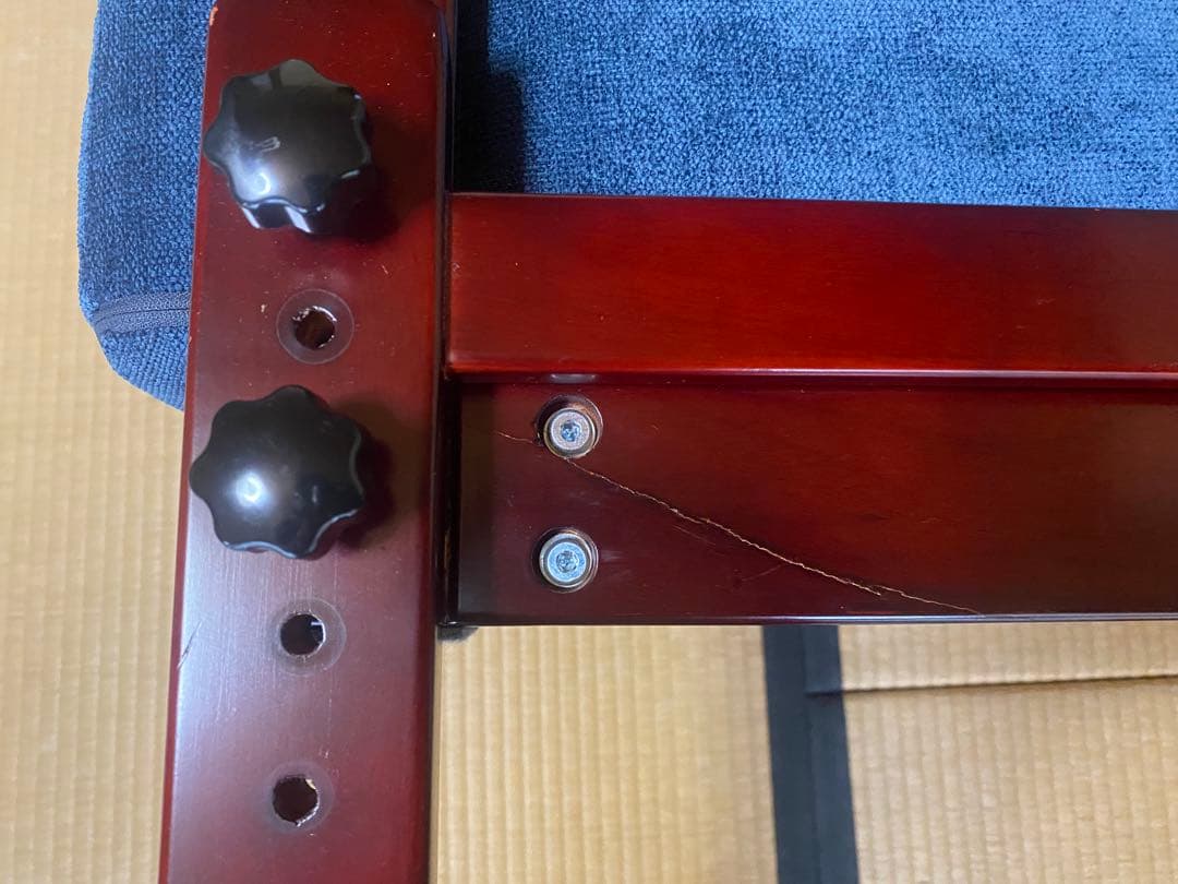 フランスベッド　背楽チェアSEC-01