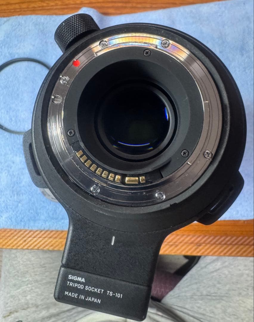 SIGMA 60-600mm F4.5-6.3 DG OS HSM おまけ付き