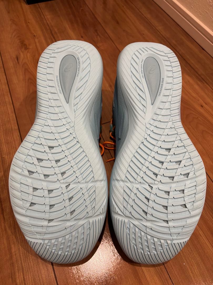 asics ノバサージ ロー2 31cm