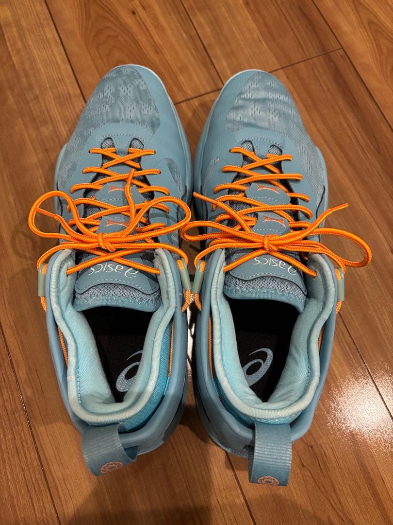 asics ノバサージ ロー2 31cm