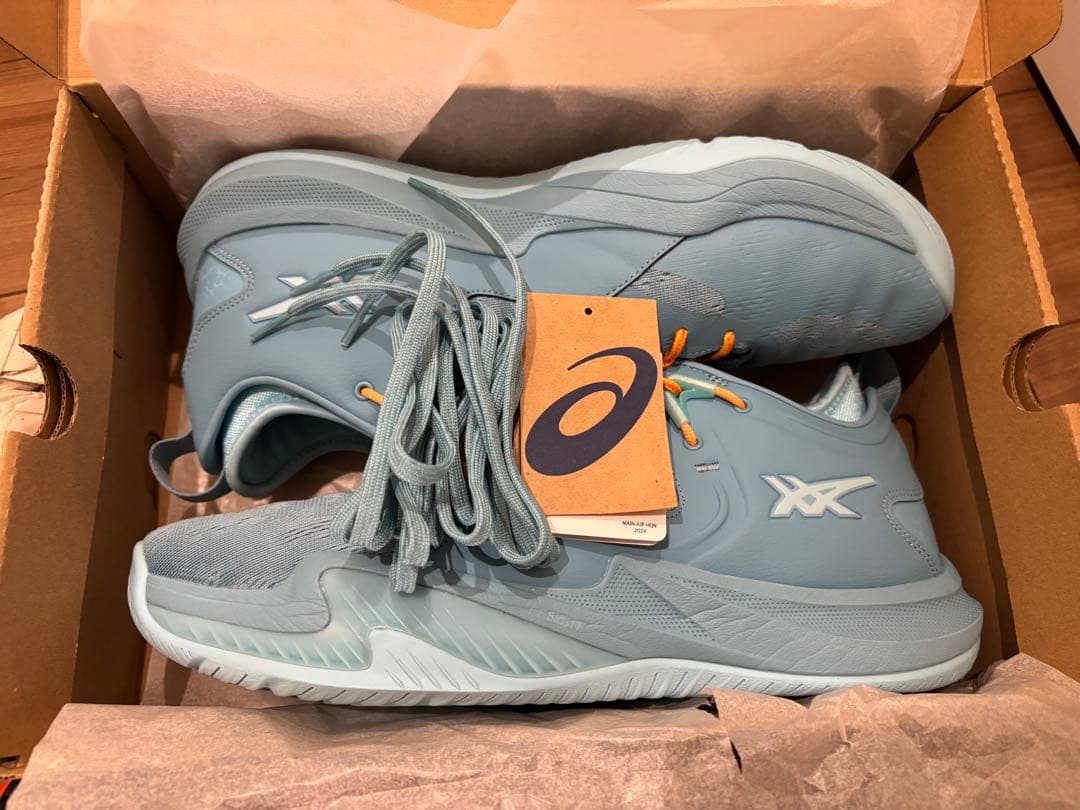 asics ノバサージ ロー2 31cm